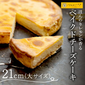 yӂ邳Ɣ[Łz xCNh`[YP[L TCY 21cm 8`10l 690g }XJbg{A xCNh `[YP[L `[Y P[L N[`[Y XC[c fU[g َq َq mَq 