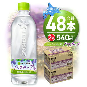 yӂ邳Ɣ[Łz kC聟 EÉE nXJbv y Iׂ { z 540ml PET 24{ 48{ ͂ kC t[o[ hN VR ybg{g  J[T T
