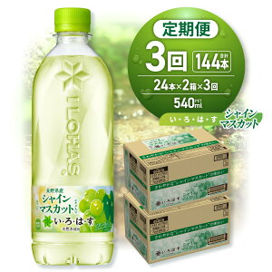 yӂ邳Ɣ[Łz ͂ VC}XJbg y Iׂ { ͂ z 540ml PET 24{ 48{  Pi 2 3 EÉE j[A t[o[ hN VR  ~l