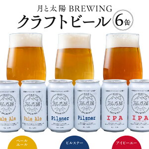 yӂ邳Ɣ[Łz Dy Ntgr[ ݔ 3 2 v6 e355ml nr[ Ƒz r[ BREWING Pale Ale y[G[ Pilsner sXi[ IPA ACs[G[ Zbg lߍ킹  