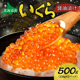 【ふるさと納税】 高評価★ 北海道産 いくら醤油漬け 【 選べる 容量 】1kg 500g 化粧箱入り イクラ 鮭いくら 醤油漬け 濃厚 鮭卵 魚卵 海鮮 魚介類 魚介 グルメ 冷凍 高級 ご褒美 お取り寄せ 250g 小分け パック おすすめ 北海道 札幌市