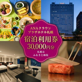【ふるさと納税】 札幌 ANAクラウンプラザホテル 30,000円分 宿泊券 ホテル 宿泊 旅行 券 旅行券 国内旅行 チケット クーポン トラベル 観光 ビジネス 出張 宿泊利用券 3万円分 IHGグループ 北海道 札幌市