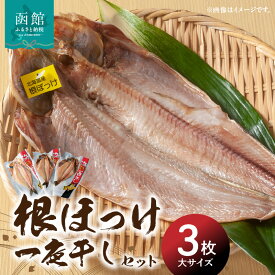 【ふるさと納税】根ほっけ一夜干しセット ほっけ ホッケ 北海道産 脂のり抜群 干物 魚 魚介 函館 はこだて