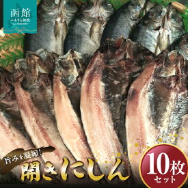 【ふるさと納税】開きにしん10枚セット「函館山崎水産」