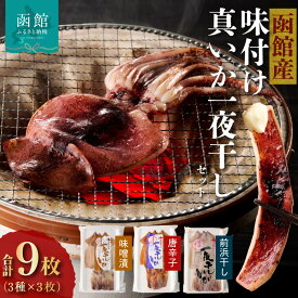 【ふるさと納税】一夜干し いか 3種 × 各3枚 計9枚 セット 函館産 夏いか 前浜干し 味噌漬 唐辛子 冷凍 冷風乾燥 おつまみ 炙って 醤油 マヨネーズ バター炒め 磯辺揚げ 大根と煮て 味噌炒め マリネ 竜田揚げ 魚介 水産 加工品 お取り寄せ 北海道 函館 イチヨ水産 送料無料