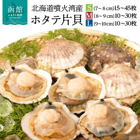 【ふるさと納税】北海道 噴火湾産 ホタテ 片貝 選べる サイズ S M L 内容量 計 10枚 ～ 45枚 内浦湾 噴火湾 新鮮 一枚ずつ 急速凍結 とても甘い 旨み バター醤油焼き 酒蒸し グラタン風焼き バーベキュー 網焼き 海の味覚 海鮮 魚介 貝 海産物 お取り寄せ 函館市 送料無料