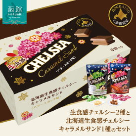 【ふるさと納税】先行受付 期間限定 数量限定 北海道 生食感 チェルシーキャラメルサンド チェルシー 2種 セット キャラメル チョコレート バタースカッチ ヨーグルトスカッチ スイーツ お菓子 キャラメルサンド お取り寄せ 函館市 送料無料