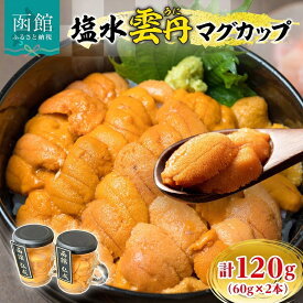 【ふるさと納税】塩水ウニマグカップ 合計 120g 60g × 2本 ウニ 塩水ウニ 海鮮 魚介 食感 なめらか 和風 洋風 多彩 レシピ 海鮮丼 寿司 パスタ リゾット 珍味 うに丼 酒の肴 おつまみ 冷蔵 贈答 お祝い プレゼント用 ギフト お中元 御中元 お歳暮 弘成 北海道 函館市