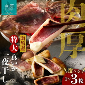 【ふるさと納税】イチヨ水産 一夜干しいか 選べる 内容量 1枚 2枚 3枚 函館産 ふっくら 厚身 一夜干 イカ焼き 天ぷら 焼く 函館名物 真いか マヨネーズ いか 干物 つまみ イカ天 冷凍 北海道 函館 送料無料 お取り寄せグルメ