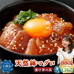 yӂ邳Ɣ[ŁzVR Ђ̋ Iׂeʁ v880gi80g×11pbNjEv1.76kgi80g×22pbNj  o`}O ܂  }O CN  Y y т̂ 