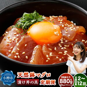 yӂ邳Ɣ[ŁzVR Ђ̋ 1񂠂v880gi80g×11pbNjIׂց 1 2`12  o`}O ܂  }O CN  Y y т̂ 