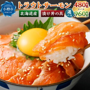 yӂ邳Ɣ[ŁzkCY gEgT[ Ђ̋ Iׂeʁ v480gi80g×6pbNjEv960gi80g×12pbNj T[  Ⴏ VP Ђ_  CN  Y