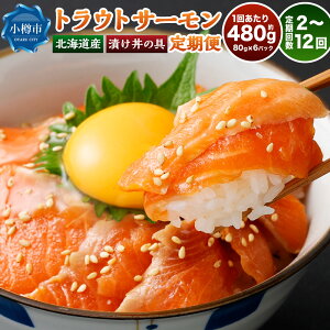 yӂ邳Ɣ[ŁzkCY gEgT[ Ђ̋ Iׂց 1񂠂v480gi80g×6pbNj 1 2 / 6 / 12 T[  Ⴏ VP Ђ_ CN  Y