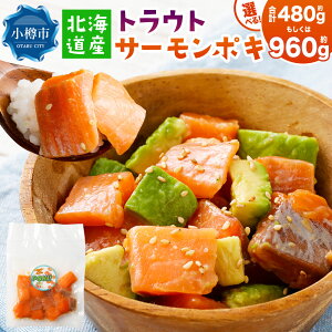 yӂ邳Ɣ[ŁzkCY gEgT[|L Iׂeʁ v480gi80g×6pbNjEv960gi80g×12pbNj gEg|L Ђ̋ T[  VP nCA CN 