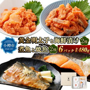 yӂ邳Ɣ[ŁzqƊCNЂ 2EϋƏċ 2 iv6pbNZbgj q ߂񂽂 CNЂ ϋ ċ ϕt Ă  C̍K ӎ x   Mtg 