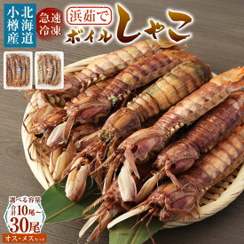 【ふるさと納税】【容量が選べる】ボイル しゃこ オス・メス 12000円 ～ 40000円 1万2000円 ～ 4万円 | しゃこ 蝦蛄 ボイルしゃこ 加熱済 調理済 刺し身 刺身 新鮮 小分け 保存 冷凍 おかず 惣菜 お取り寄せ 小樽市 北海道 送料無料