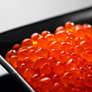 yӂ邳Ɣ[ŁzkCY o ݖЂ 250gx2pbN v500g܂200gx4pbN v800gI | ݖЂ   ӎ CN Ⓚ Y Ms M kC 