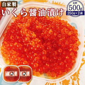 【ふるさと納税】自家製 いくら 醬油漬け 500g | イクラ 北海道産 小樽市 北海道 お取り寄せ 冷凍 送料無料