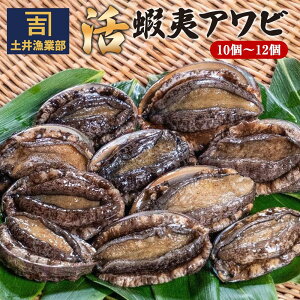 yӂ邳Ɣ[ŁzyʂIׂzt kCY ڈ΃Ar (6`8) ܂ (10`12) |   L  Ⓚ Ms kC y2025N12{菇z