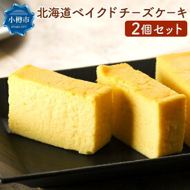【ふるさと納税】北海道 ベイクド チーズケーキ 2個セット 直径約17cm ケーキ