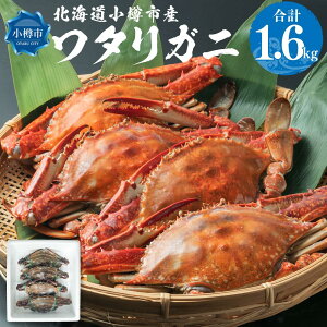 yӂ邳Ɣ[ŁzyeʂIׂzkC MsY ^Kj 1.6kg (400g×4) ܂ 1.8kg (300g×6) 10000~ 1~ | Jj I ^Kj ^I  {C 䥂 ĂKj I Jj