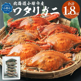 【ふるさと納税】【内容量が選べる】北海道 小樽市産 ワタリガニ 1.6kg (400g×4尾) または 1.8kg (300g×6尾) 10000円 1万円 | カニ 蟹 ワタリガニ ワタリ蟹 お取り寄せ ボイル 茹で 焼きガニ 蟹鍋 カニ鍋 味噌汁 みそ汁 北海道 小樽市 冷凍