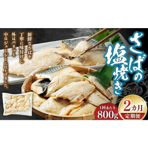 yӂ邳Ɣ[Łzy2ցz΂̉Ă 800g |  Y Hi lC   yVX[p[SALE 9J