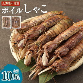 【ふるさと納税】【容量が選べる】ボイル しゃこ オス・メス 12000円 ～ 40000円 1万2000円 ～ 4万円 | しゃこ 蝦蛄 ボイルしゃこ 加熱済 調理済 刺し身 刺身 新鮮 小分け 保存 冷凍 おかず 惣菜 お取り寄せ 小樽市 北海道 送料無料