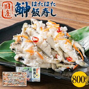 yӂ邳Ɣ[Łz͂͂ ю 800g(ϔ) Mtg p | юi  т ю ͂͂  y ` yHi p Mtg ϔ 蕨  kC 