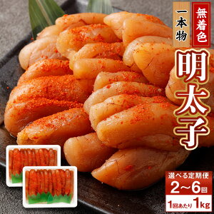 yӂ邳Ɣ[ŁzIׂց Fq { 2`6 1񂠂 1kgi500g×2j ߂񂽂 q 炱 XPgE_   F ɂ pX^ ٓ  y 
