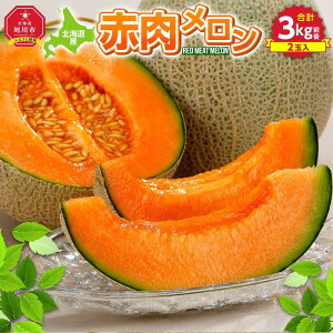 yӂ邳Ɣ[Łzys\zkCYԓv3kgOi2ʓj2026N7{珇\y ʕ  t[c z_01979 |  ԓ ʕ t[c {   k