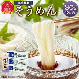 【ふるさと納税】藤原製麺製造そうめん 乾麺_03484 | 麺 食品 加工食品 人気 おすすめ 送料無料