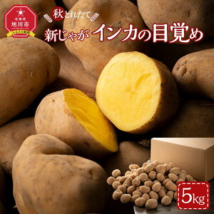 yӂ邳Ɣ[Łzys\zHƂꂽ VႪ CJ̖ڊo 5kg(2025N10Jn\)kCYႪ WKC y Ⴊ  C   Yn {  
