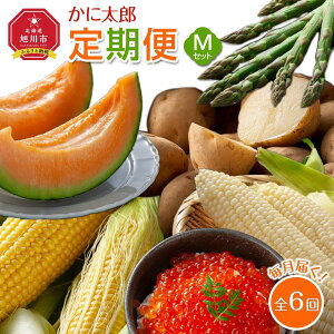 yӂ邳Ɣ[Łzy26N5JnzɑY MZbgiAXpAԓACIR[A܃R[Aj݁AYCNݖЂjS6 _03826 |  ₳ Hi 