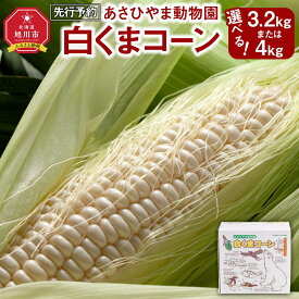 【ふるさと納税】【先行予約 容量選択可能】あさひやま動物園しろくまコーン約3.2kg～4kg(ホワイトレディもしくはピュアホワイト8～10本)2024年8月下旬～発送開始予定 _00308 | 白いとうもろこし 白いスイートコーン ホワイトレディ コーン ピュアホワイト 旭川市