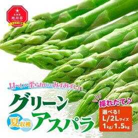 【ふるさと納税】夏収穫グリーンアスパラ Lサイズ 1kg ・2Lサイズ1.5kgから選択可(2025年7月～発送開始予定) | 野菜 アスパラ グリーンアスパラ アスパラガス 旭川市ふるさと納税 北海道ふるさと納税