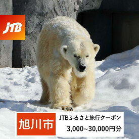 【ふるさと納税】【旭川市】JTBふるさと旅行クーポン（Eメール発行）（3,000円分～30,000円分） | 旅行 観光 旅行券 旅行クーポン クーポン 旭川市ふるさと納税 北海道ふるさと納税 旭川市 北海道