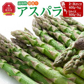 【ふるさと納税】【2026年先行予約】露地物朝採りアスパラ 鮮度保持フィルム入り(5月中旬発送開始予定)_01593 | 野菜 アスパラガス グリーンアスパラ 旬 とれたて お取り寄せ 産地直送 小分け 保存 旭川市 北海道 送料無料
