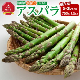 【ふるさと納税】◆2026年先行予約◆【訳あり】露地物朝採りアスパラ 鮮度保持フィルム入り(5月中旬発送開始予定) | アスパラ アスパラガス 朝採り とれたて 野菜 旬 小分け 保存 産直 産地直送 お取り寄せ 旭川市 北海道