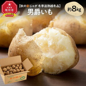 yӂ邳Ɣ[Łzys\z~GǏn z~i j݃C 8kgi2026N1{`\jkCYႪ WKC _01986 | Ⴊ kCY j Ǐn     y 