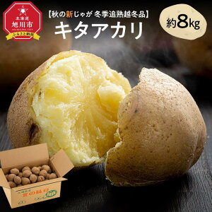 yӂ邳Ɣ[Łzys\z~GǏn z~i L^AJ 8kgi2026N1{`\jkCYႪ WKC _01987 | Ⴊ kCY k Â Ǐn    