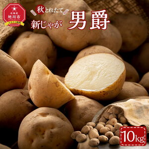 yӂ邳Ɣ[Łzys\zyeʑI\zHƂꂽ VႪ j݂ 8kg or 10kg(2025N10Jn\)kCYႪ WKC |  ₳ Hi lC  