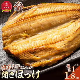 【ふるさと納税】絶品脂ののった 北海道産 開きほっけ_01701 | 干物 ほっけ 開き 北海道 冷凍 冷凍配送 旭川市 送料無料