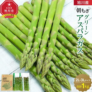 yӂ邳Ɣ[ŁzYIO[AXpKX2L`3LTCY1.0kg(2026N5{Jn\)_01940 | AXp AXpKX t Ƃꂽ Y  ǂ s kC 