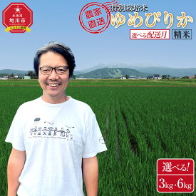 【ふるさと納税】【楽天限定】3kg or 6kg ゆめぴりか精米 特別栽培米 令和7年産(10月より発送予定)【選べる配送月】 | 米 お米 こめ 食品 人気 おすすめ コスパ 5kg 10kg
