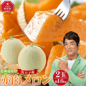 yӂ邳Ɣ[Łzy26Ns\zLOA kCYԓ1.3kg× `1.6kg×2(2026N7{甭Jn\) _02061 |  ԓ ʕ t[c x