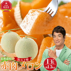 【ふるさと納税】【内容量選択可能】北海道産赤肉メロン約1.3kg ～1.6kg（2025年7月中旬から発送予定) _02061 | メロン 赤肉 果物 フルーツ 糖度