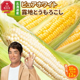 【ふるさと納税】【26年先行予約】【種類選択可能】北海道産ピュアホワイト・露地とうもろこし　計10本～12本 2026年8月中旬から発送開始予定 | とうもろこし ピュアホワイト 高評価 ランキング 露地栽培 コーン 甘い 糖度 野菜 夏野菜 旬 お取り寄せ 旭川市 北海道