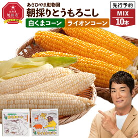 【ふるさと納税】【先行予約　容量選択可能】朝採りとうもろこしMIX8～10本（3.2kg～ 4.5kg）あさひやま動物園 白くまコーンとライオンコーンのミックス（2025年8月中旬より発送予定）_02157 | とうもろこし コーン スイートコーン ゴールドラッシュ 食べ比べ 冷蔵 旭川市