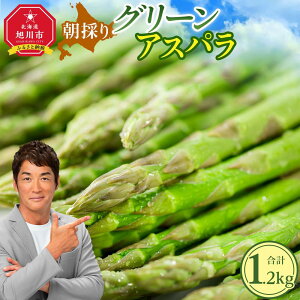 yӂ邳Ɣ[ŁzLOAys\ẑ O[AXp (2026N5{Jn) _01706 | AXp AXpKX  { t kC Ƃꂽ  ①z ① s 